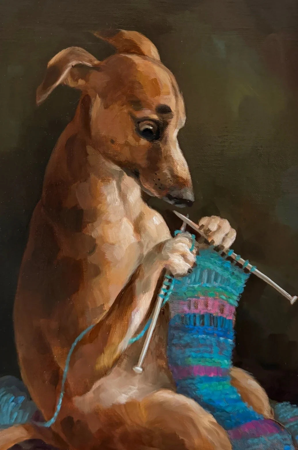 Quadro de Pets Engraçados MegaFun